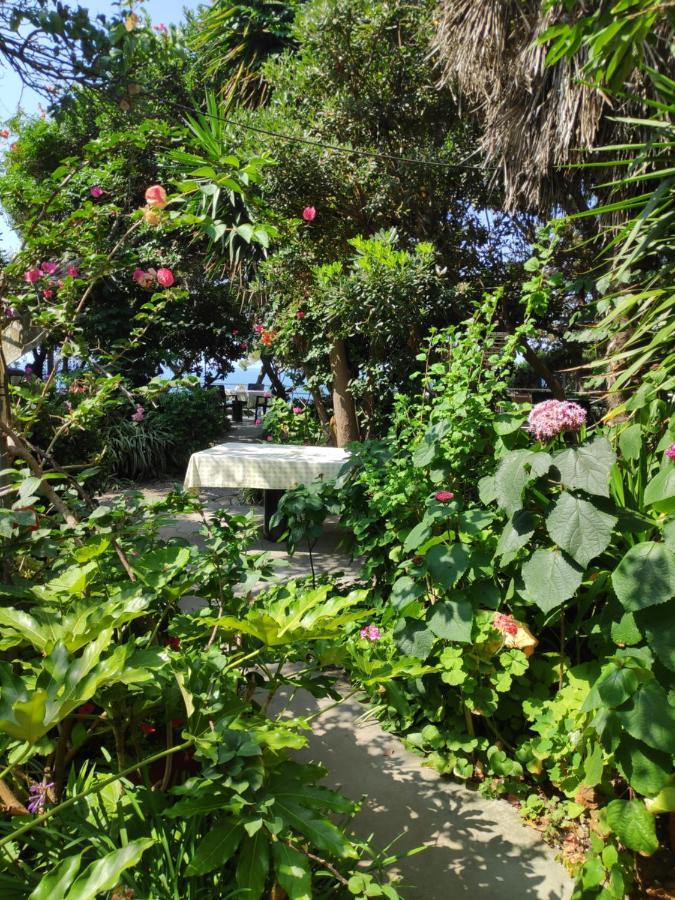 Alonaki Bay Halikounas Exterior foto